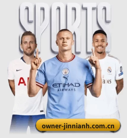 五大服务分区,信息按项目分类 - 多运动项目内容板块